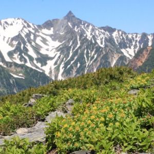 Meet your Posher, Kevin